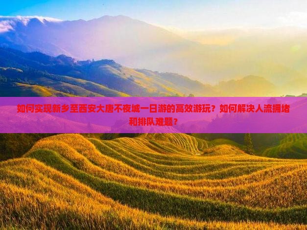 如何实现新乡至西安大唐不夜城一日游的高效游玩？如何解决人流拥堵和排队难题？