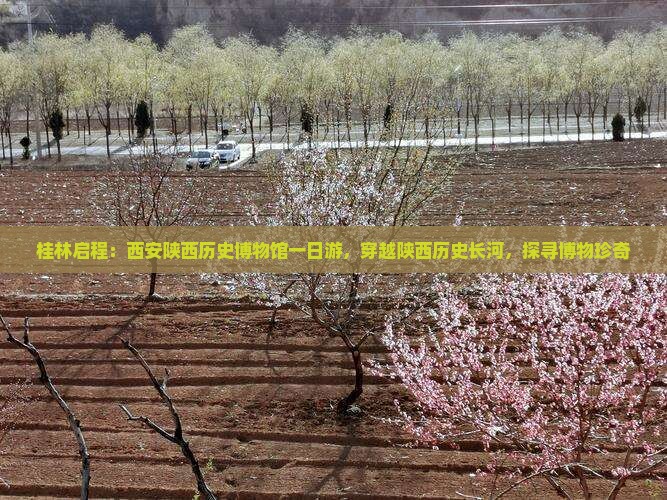 桂林启程：西安陕西历史博物馆一日游，穿越陕西历史长河，探寻博物珍奇