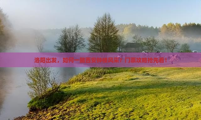 洛阳出发，如何一睹西安钟楼风采？门票攻略抢先看！
