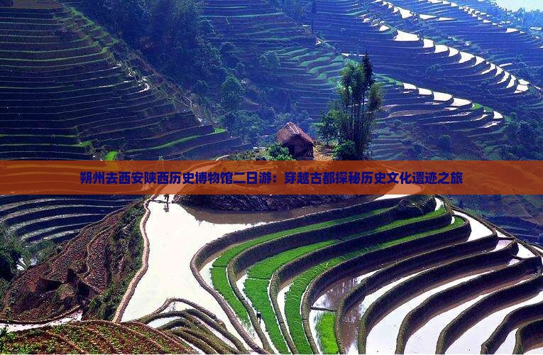朔州去西安陕西历史博物馆二日游：穿越古都探秘历史文化遗迹之旅