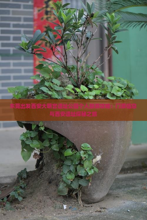 东莞出发西安大明宫遗址公园个人旅游攻略：门票信息与西安遗址探秘之旅
