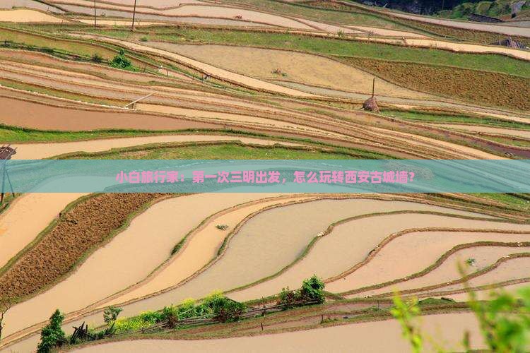 小白旅行家：第一次三明出发，怎么玩转西安古城墙？