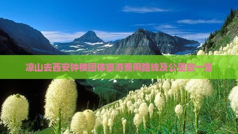 凉山去西安钟楼团体旅游费用路线及公里数一览