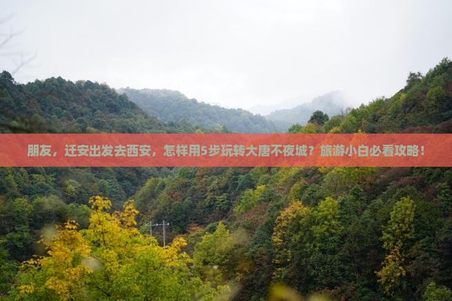 朋友，迁安出发去西安，怎样用5步玩转大唐不夜城？旅游小白必看攻略！