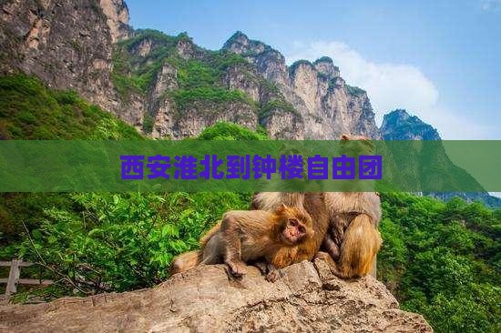 西安淮北到钟楼自由团