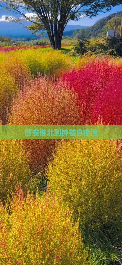 西安淮北到钟楼自由团