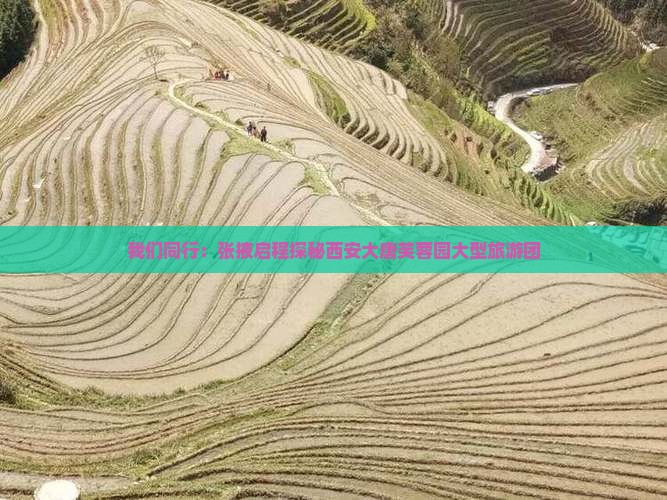 我们同行：张掖启程探秘西安大唐芙蓉园大型旅游团