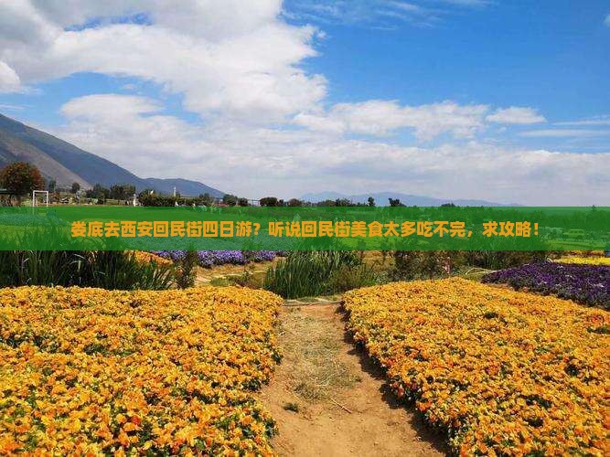 娄底去西安回民街四日游？听说回民街美食太多吃不完，求攻略！