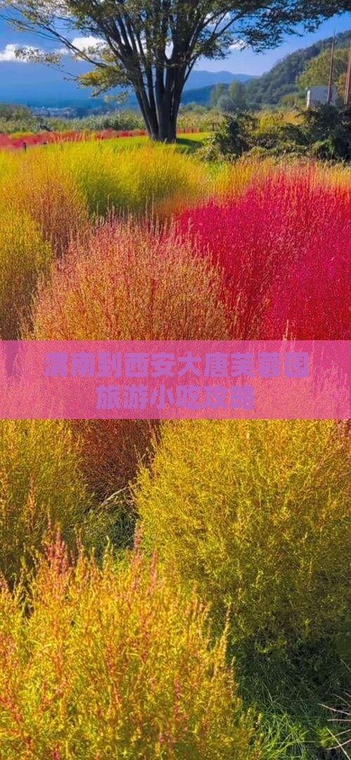 渭南到西安大唐芙蓉园旅游小吃攻略