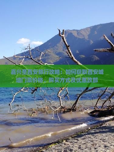 嘉兴至西安旅行攻略：如何获取西安城墙门票价格、购买方式及优惠政部