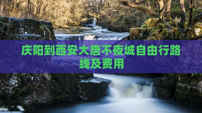 庆阳到西安大唐不夜城自由行路线及费用