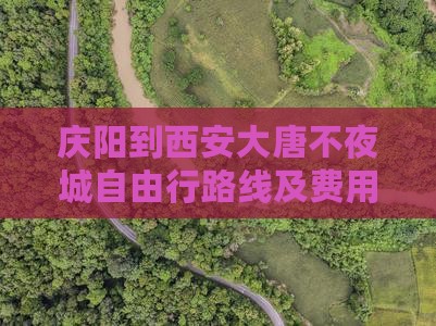 庆阳到西安大唐不夜城自由行路线及费用