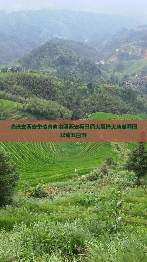 临沧去西安华清宫自由团西安兵马俑大雁塔大唐芙蓉园双动五日游