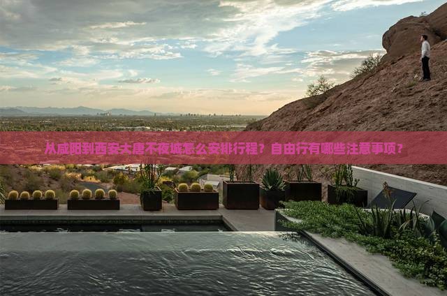 从咸阳到西安大唐不夜城怎么安排行程？自由行有哪些注意事项？