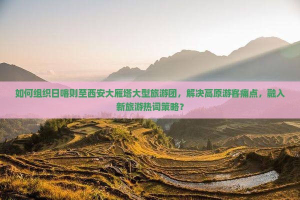 如何组织日喀则至西安大雁塔大型旅游团，解决高原游客痛点，融入新旅游热词策略？