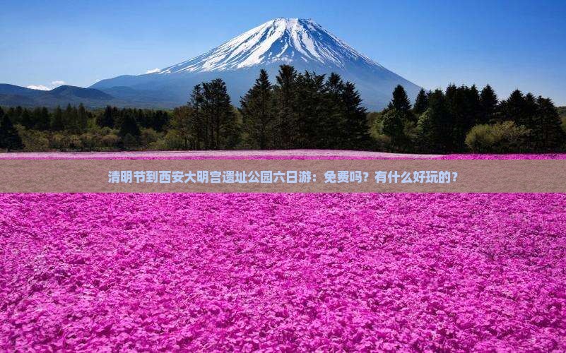 清明节到西安大明宫遗址公园六日游：免费吗？有什么好玩的？