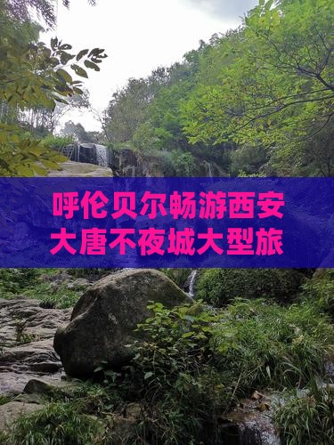 呼伦贝尔畅游西安大唐不夜城大型旅游团盛启