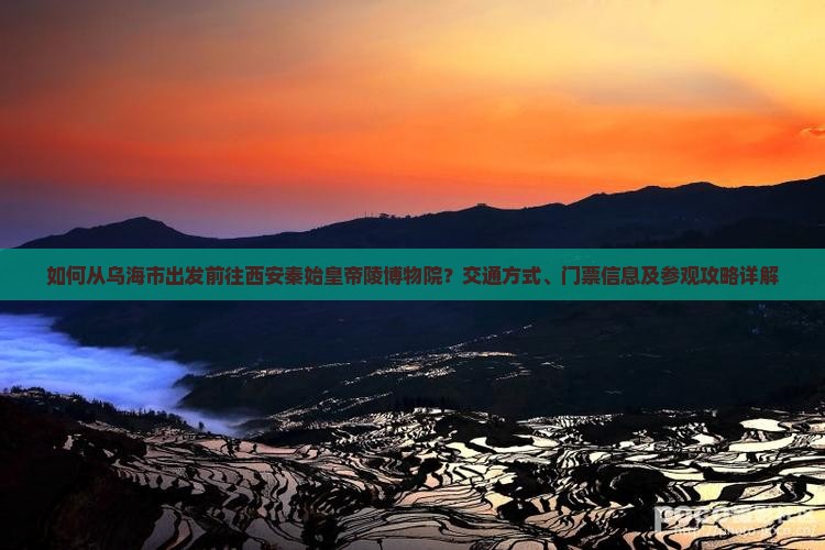 如何从乌海市出发前往西安秦始皇帝陵博物院？交通方式、门票信息及参观攻略详解