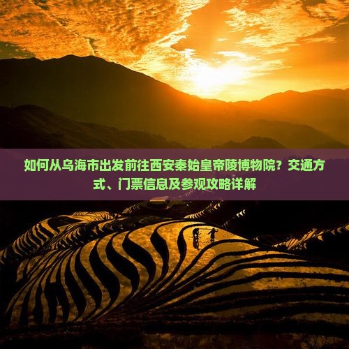 如何从乌海市出发前往西安秦始皇帝陵博物院？交通方式、门票信息及参观攻略详解