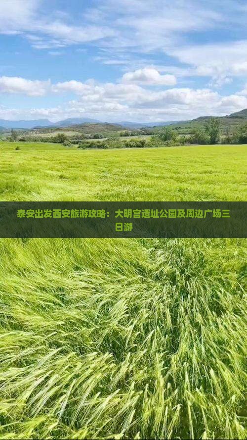 泰安出发西安旅游攻略：大明宫遗址公园及周边广场三日游
