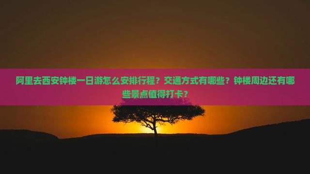 阿里去西安钟楼一日游怎么安排行程？交通方式有哪些？钟楼周边还有哪些景点值得打卡？