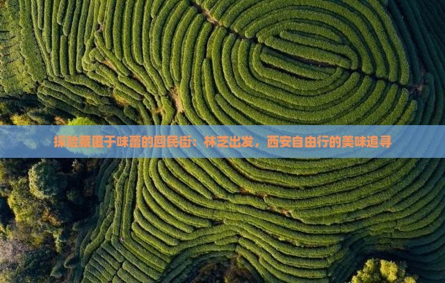 探险藏匿于味蕾的回民街：林芝出发，西安自由行的美味追寻