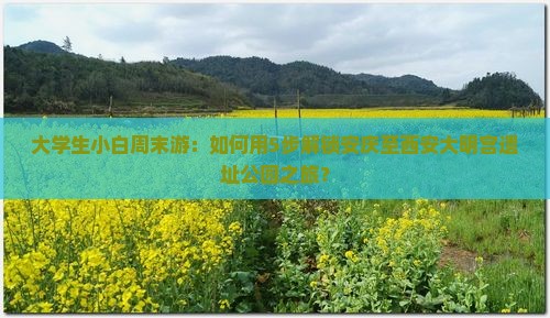 大学生小白周末游：如何用5步解锁安庆至西安大明宫遗址公园之旅？