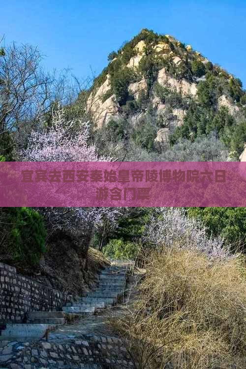 宜宾去西安秦始皇帝陵博物院六日游含门票