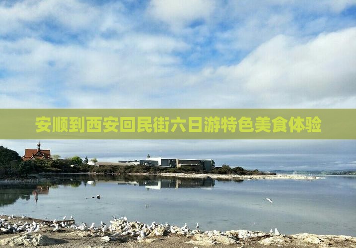安顺到西安回民街六日游特色美食体验