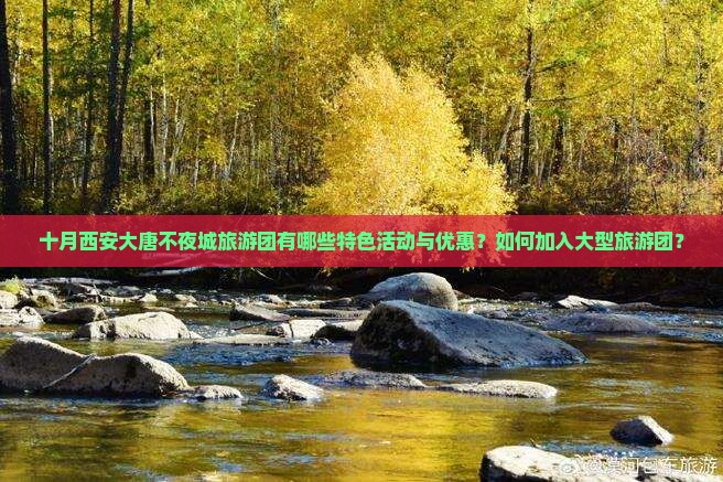 十月西安大唐不夜城旅游团有哪些特色活动与优惠？如何加入大型旅游团？