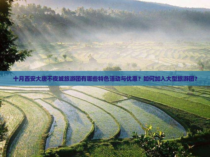 十月西安大唐不夜城旅游团有哪些特色活动与优惠？如何加入大型旅游团？