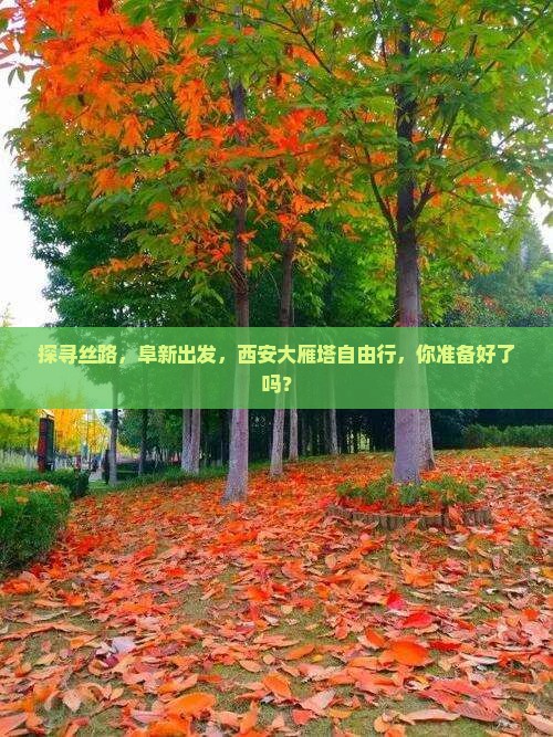 探寻丝路，阜新出发，西安大雁塔自由行，你准备好了吗？