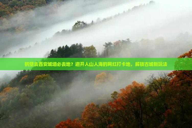 鹤壁去西安城墙必去地？避开人山人海的网红打卡地，解锁古城新玩法