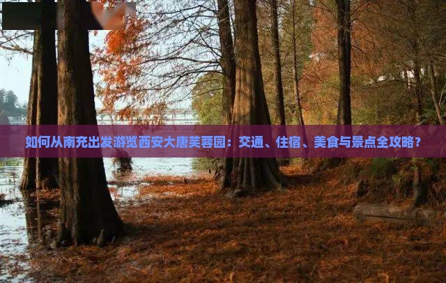 如何从南充出发游览西安大唐芙蓉园：交通、住宿、美食与景点全攻略？