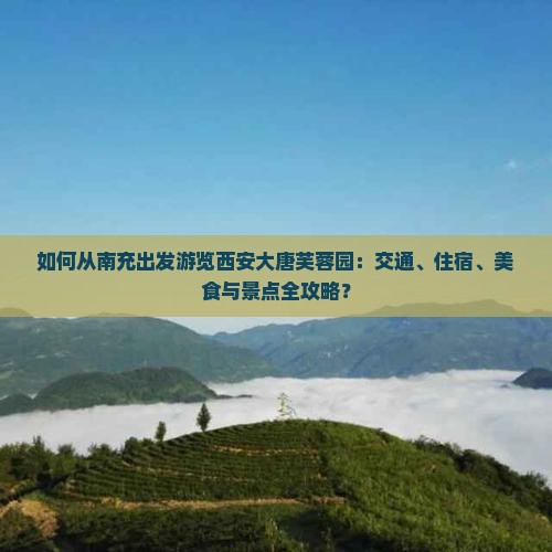 如何从南充出发游览西安大唐芙蓉园：交通、住宿、美食与景点全攻略？