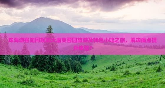 珠海游客如何规划大唐芙蓉园旅游及特色小吃之旅，解决痛点提升体验？