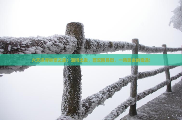 六天探寻味蕾之旅：淄博出发，西安回民街，一场美食的奇遇!