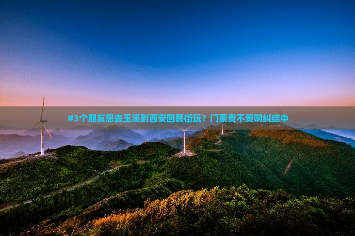 #3个朋友想去玉溪到西安回民街玩？门票贵不贵啊纠结中