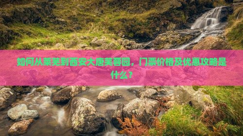 如何从莱芜到西安大唐芙蓉园，门票价格及优惠攻略是什么？