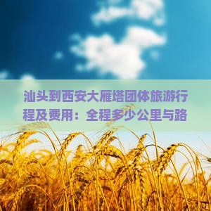 汕头到西安大雁塔团体旅游行程及费用：全程多少公里与路线解析