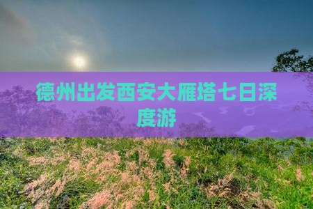 德州出发西安大雁塔七日深度游