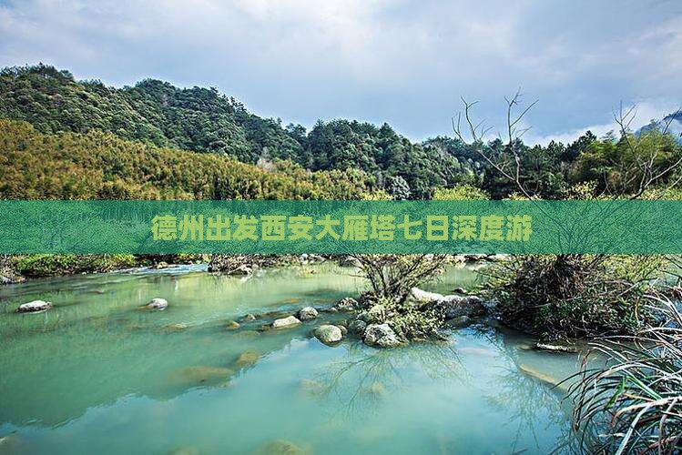 德州出发西安大雁塔七日深度游