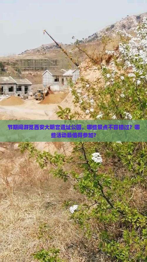 节期间游览西安大明宫遗址公园，哪些景点不容错过？哪些活动最值得参加？