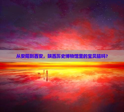 从安阳到西安，陕西历史博物馆里的宝贝脑吗？