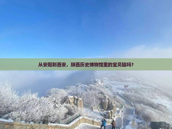 从安阳到西安，陕西历史博物馆里的宝贝脑吗？