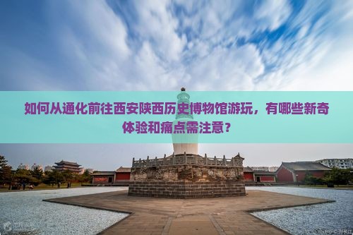 如何从通化前往西安陕西历史博物馆游玩，有哪些新奇体验和痛点需注意？