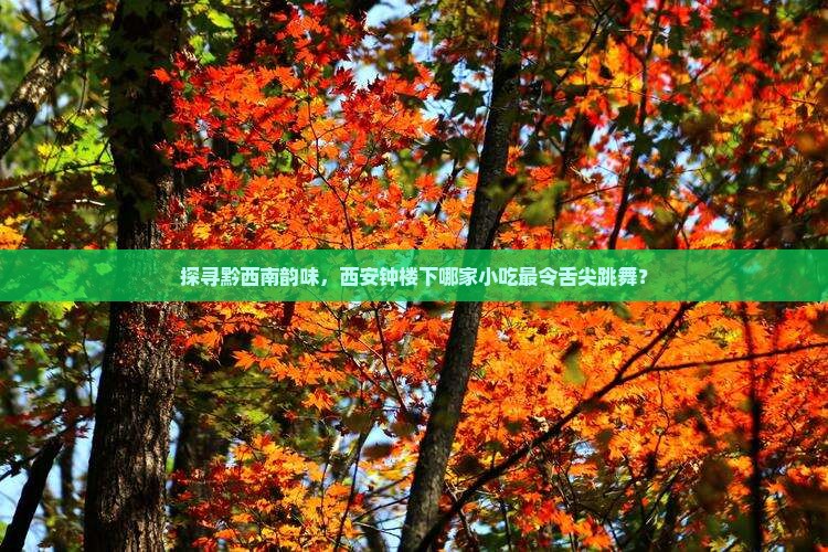 探寻黔西南韵味，西安钟楼下哪家小吃最令舌尖跳舞？