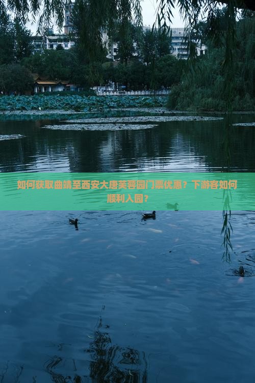 如何获取曲靖至西安大唐芙蓉园门票优惠？下游客如何顺利入园？