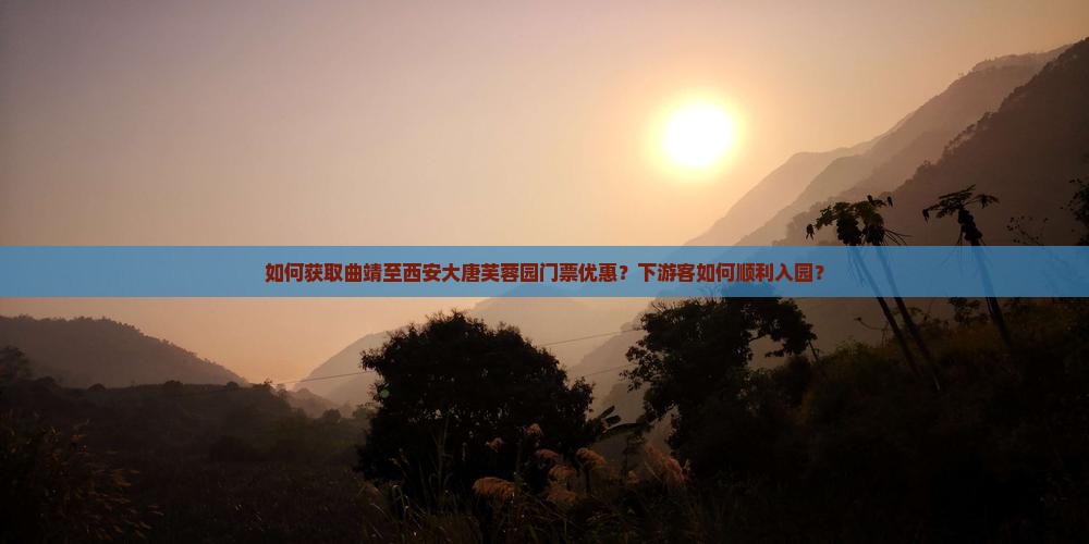 如何获取曲靖至西安大唐芙蓉园门票优惠？下游客如何顺利入园？