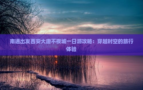 南通出发西安大唐不夜城一日游攻略：穿越时空的旅行体验
